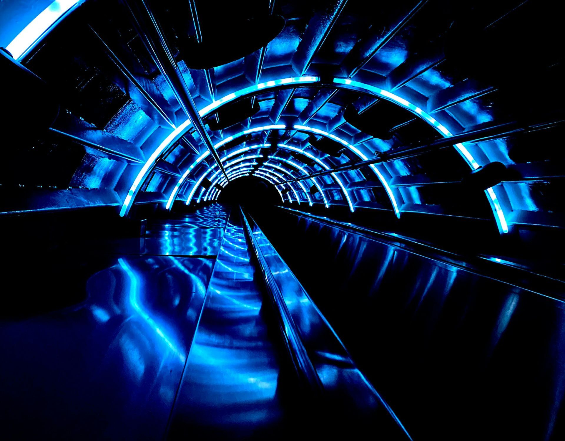 Reflecting on 25 years of bluesource_ A vision for the future